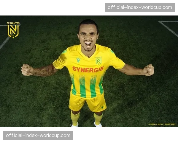 关键一胜：南特1-0击败图卢兹，脱离降级区